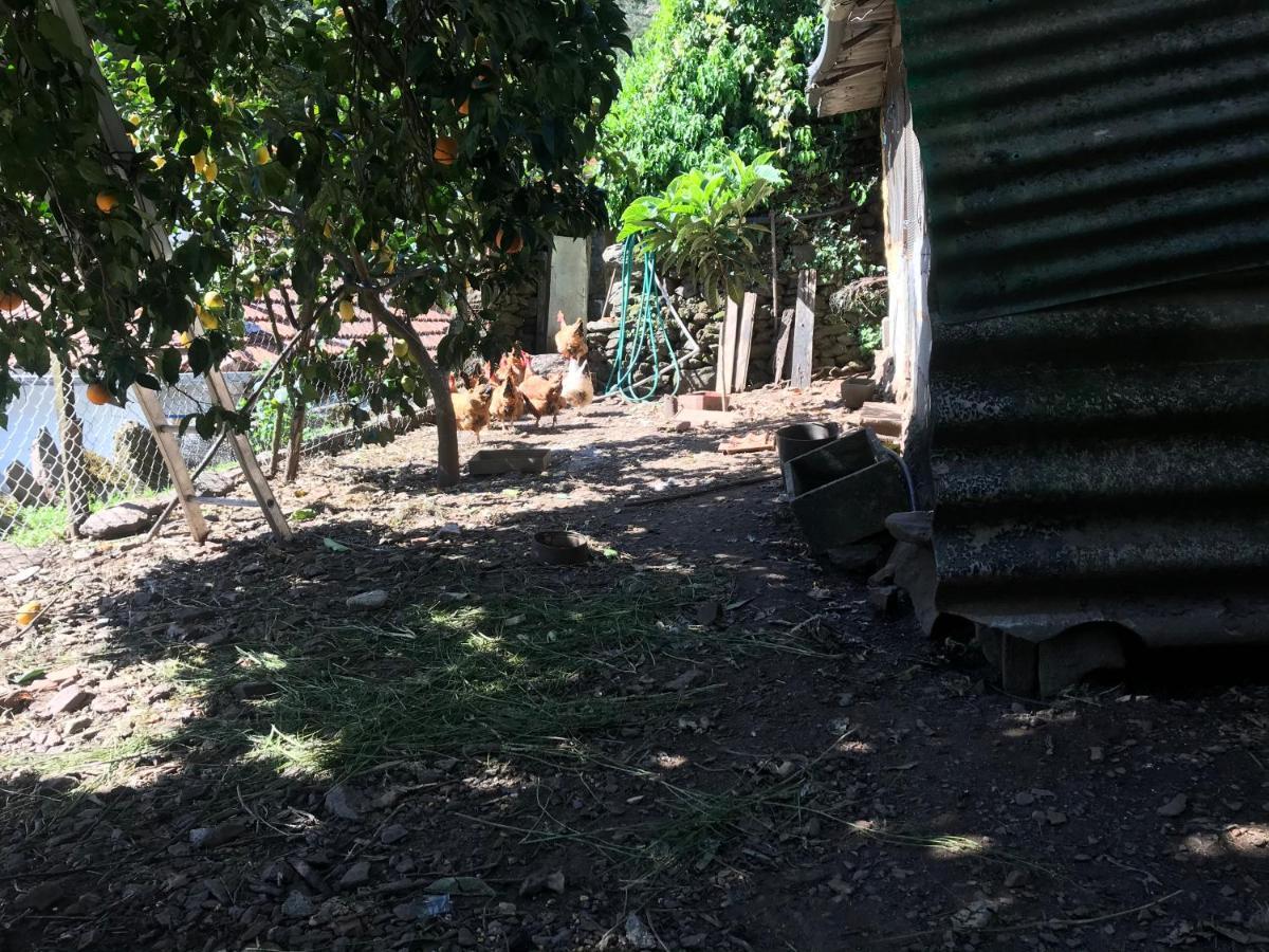הוילה ארוקה Casa Do Volframio מראה חיצוני תמונה
